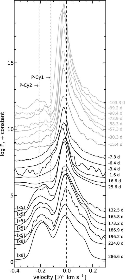Evolution of the Hα profile in velocity space. The dotted lines indicate the major blue absorption components distinguished in the Hα line profile. The dashed lines mark the rest wavelength of Hα. Spectra have been vertically shifted for clarity by an arbitrary amount.