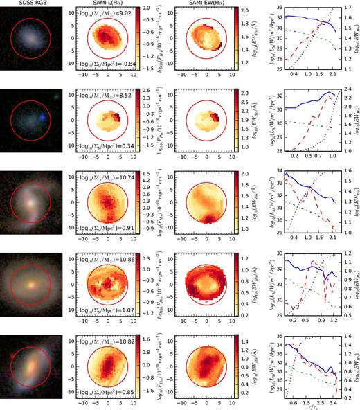 Example galaxies with a range of stellar masses, local environment densities and Hα morphologies. On the far left is a colour optical image from the SDSS gri photometry, left of centre is the extinction-corrected log 10(Hα) flux map reconstructed from the annular-Voronoi bins and right of centre is the Hα equivalent width map, made from the Annular-Voronoi bins. The SDSS image and each SAMI map are located in boxes that are 25 arcsec on each side. In each image, the red circle marks the 15 arcsec SAMI field of view. On the far right, we show the radial profiles for log10(Hα/W/kpc2) luminosity surface density (blue solid), log10(EWHα) (red dashed), the SAMI red arm integrated continuum (green dot–dashed) and the curve of growth for dust-corrected Hα (black dotted). Each curve of growth is scaled such that 0 per cent of the flux from the galaxy is at the bottom of the panel and 100 per cent of the flux is at the top.
