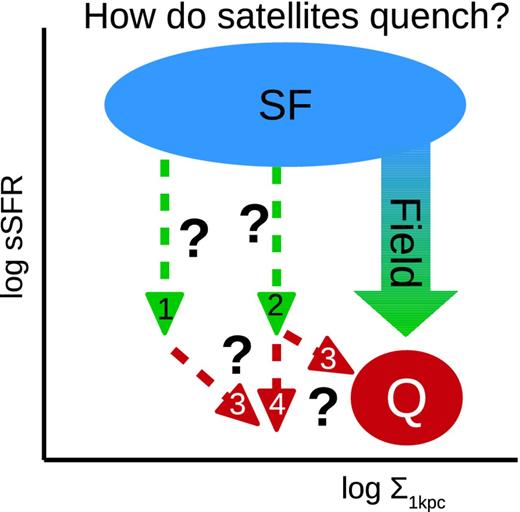 Schematic diagram illustrating quenching paths in sSFR–Σ*,1kpc space at constant stellar mass. The region marked ‘SF’ refers to the ‘star-forming’ population and the region marked ‘Q’ refers to the ‘quenched’ population. The possible satellite quenching paths are the subject of this study. The numbered arrows are discussed in Section 1.4.