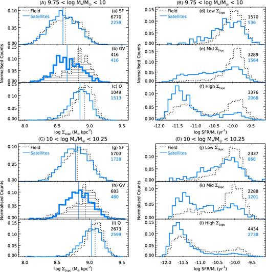 Left-hand column: one-dimensional distributions of Σ*,1kpc in the mass range 9.25 < log M*/M⊙ < 10 (A) and 10 < log M*/M⊙ < 10.25 (C), in three star-forming classes corresponding to the divisions in Fig. 2. Right-hand column: distributions of sSFR in three bins of Σ*,1kpc in the same mass ranges. The divisions between ‘Low’, ‘Mid’ and ‘High’ Σ*,1kpc are log Σ*,1kpc/(M⊙kpc−2) = 8.4 and 8.7 for the lower mass bin, and log Σ*,1kpc/(M⊙kpc−2) = 8.7 and 8.9 for the more massive bin. The vertical lines in the left-hand panels show the medians of each histogram. The histograms are normalized by number density. These histograms confirm these features seen in Fig. 4: GV satellites lie at lower Σ*,1kpc than GV field galaxies by about 0.2 dex for the lowest mass bin (b and h); Q satellites have a lower range Σ*,1kpc than the field (c and i); the peak sSFR of SF and Q satellites is lower than that of SF field galaxies (d–f and j–l).