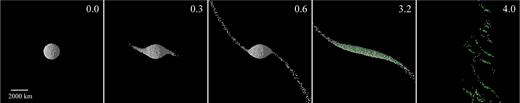 Similar to Fig. 6, except for the case of complete disruption with e = 0.10 (simulation RandDiff32). Subsequent to mantle stripping, the core is not dense enough to resist disruption, and both the white mantle particles and green core particles are visible after three orbits. An animation accompanying this figure is available online.