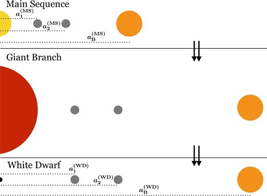 Cartoon (not to scale) of our setup: two planets (small grey circles) orbiting the primary (yellow, red then black star at left), plus a secondary (orange star at right). As the primary evolves from the main sequence (top region) to the giant branch phase (middle region) to the white dwarf phase (bottom region), the star expands and then contracts. Concurrently, the planets and secondary all expand their orbits. This paper explores what binary separations would create instability, and during what phases.