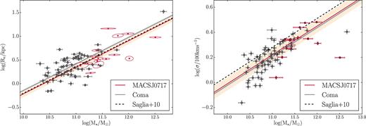 Mass–size and mass–velocity dispersion relations for the two clusters, with stellar masses in units 1010 M⊙, sizes in kpc and velocity dispersions in units of 100 km s−1. In both cases, the scaling relations of the two clusters are consistent with being parallel but offset, with the high-redshift galaxies being both marginally smaller and having marginally higher velocity dispersions. The dashed lines show the relations given in Saglia et al. (2010), evaluated at z = 0.545. Both are consistent with our MACSJ0717 sample within 2σ (though we do not show the uncertainties on the Saglia et al. 2010 relations here).