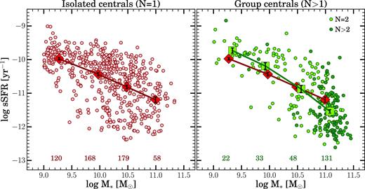sSFR is plotted against stellar mass for central galaxies in both environments. The same galaxies are shown with the same colour-coding and averaging as in Fig. 2. The low-mass group central galaxies (shown in green) have sSFRs that are elevated by ∼0.2 dex compared with isolated central galaxies (shown in red, with average relation on both panels).