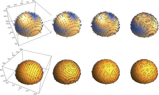 The direction of the perturbed magnetic field, plotted along a series of hemispherical shells beginning near the centre and ending near the surface. From left to right, the shells represent r/R* = 0.2, 0.4, 0.6 and 0.8, respectively. The upper row of plots shows the unit poloidal vector and the lower row the unit toroidal vector. Since arrows into and out of contours are hard to distinguish, we use colour coding for the strength of the radial field component: blue represents a region of field lines pointing towards the centre of the star, whilst white indicates outwards-pointing field lines. This only applies to the poloidal-field plots, as toroidal fields are, by definition, non-radial, and so their arrows are all tangential to the hemispherical shells. Each poloidal/toroidal plot is viewed from the same (x, y) position as in Fig. 5, but from above – i.e. for a z > 0 position, unlike the z < 0 vantage points of Fig. 5. To save space, the axes and bounding box are only drawn for the left-hand plots. Finally, we take χ = π/16 for all plots, though there is little variation of the field's direction with inclination angle.