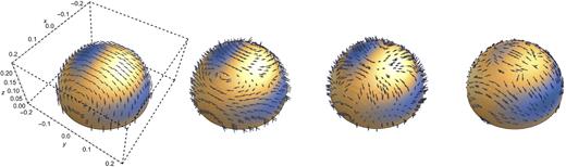 The direction of the $\dot{\xi }$ vector field on constant-radius shells of r/R* = 0.2, 0.4, 0.6 and 0.8 (left to right), for χ = π/16. See the caption of Fig. 6 for details.