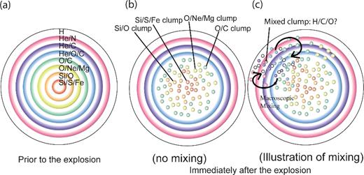 Illustration of the effect of clumping and macroscopic mixings. Panel (a) shows the ‘classic' picture of a stellar core prior to the explosion, consisting of onion layers of different nuclear-burning shells. Hydrodynamical simulations suggest that Rayleigh–Taylor instabilities break elemental zones into clumps (b). Further, macroscopic mixing may make some clumps composed from multiple elemental zones (c).