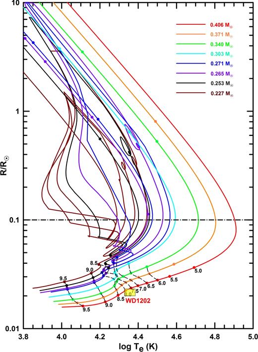 Cooling curves for He white dwarfs whose envelopes were removed via stable Roche lobe overflow. The curves are colour coded by the final mass of the white dwarf. The Roche lobe overflow should emulate the envelope removal of a CE albeit on a much slower time-scale. We expect that immediately after the CE phase the proto-WD has a radius of ≲ 0.1 R⊙, and the cooling tracks start near the dot–dashed horizontal line. Isochrones corresponding to the log of the cooling age (in yr) extending from 6.0 to 9.5 are indicated by dashed lines and are labelled. The boxed region (yellow rectangle) encloses the range of radii and Teff that we are considering in this work.
