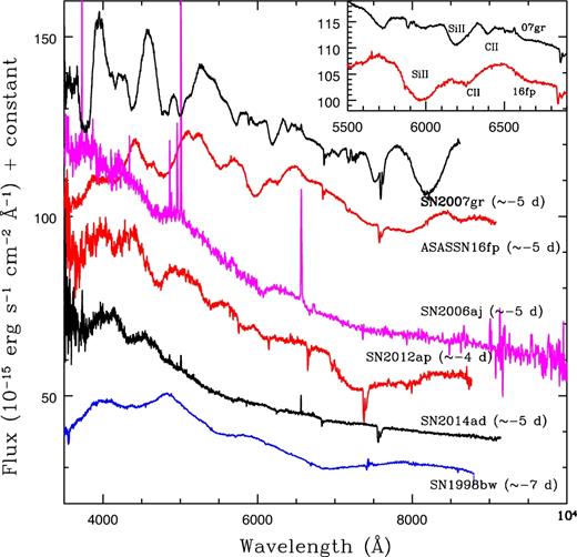 A comparison of spectral features of ASASSN-16fp and other events taken before maximum light (∼−5 d). The spectra have been corrected for reddening and redshift. Vertical shifts have been applied for clarity. In inset, the positions of Si ii and C ii lines are also shown.