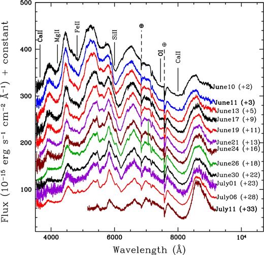Post-maximum phase spectral evolution of ASASSN-16fp. The host galaxy redshift and reddening corrections are applied. Vertical shifts have been applied for clarity and prominent spectral lines are marked. Days relative to maximum light are indicated.