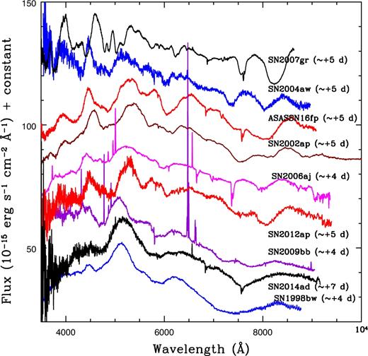 A comparison of ∼+5 d spectral features of ASASSN-16fp and other events. For clarity, the spectra have been shifted vertically.