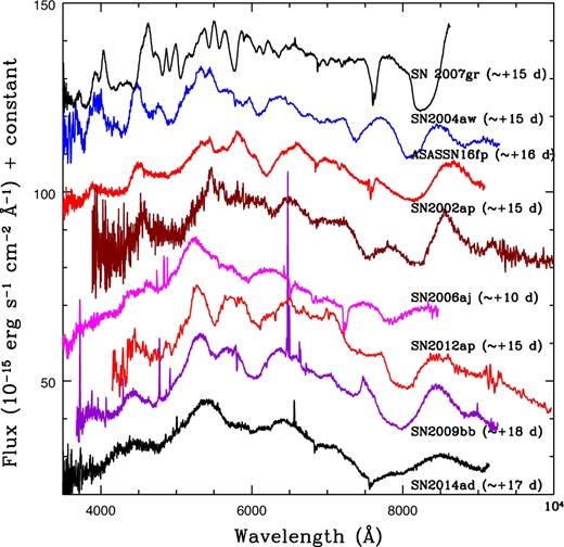 A comparison of ∼+15 d spectral features of ASASSN-16fp and other events. For clarity, the spectra have been shifted vertically.