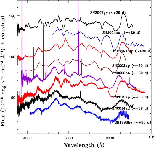 A comparison of ∼+1 month spectral features of ASASSN-16fp and other events. For clarity, the spectra have been shifted vertically.