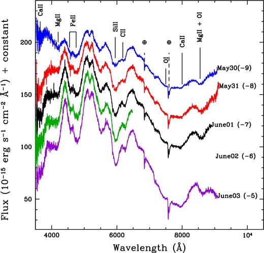 Pre-maximum spectral evolution of ASASSN-16fp. The phases marked are respective to B-band maximum light. The spectra have been corrected for redshift of the host galaxy and reddening. Vertical shifts have been applied for clarity and prominent spectral lines are marked. The telluric lines are indicated with encircled plus symbol.