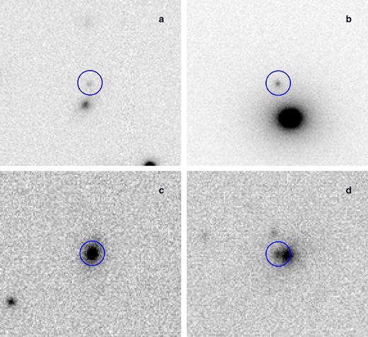 A few SN candidates identified in our survey after GW151226. (a) VSTJ38.84617+19.33631 observed on 2016 Jan 01. (b) VSTJ39.14621+18.21061 observed on 2016 Jan 01. (c) VSTJ45.37163+28.6 observed on 2016 Jan 05. (d) VSTJ46.51175+2770492 observed on 2016 Feb 02. In all images, the showed field sizes are 30×30 arcsec, North is up and East to the left. The blue annuli represent the position identified by our pipelines.