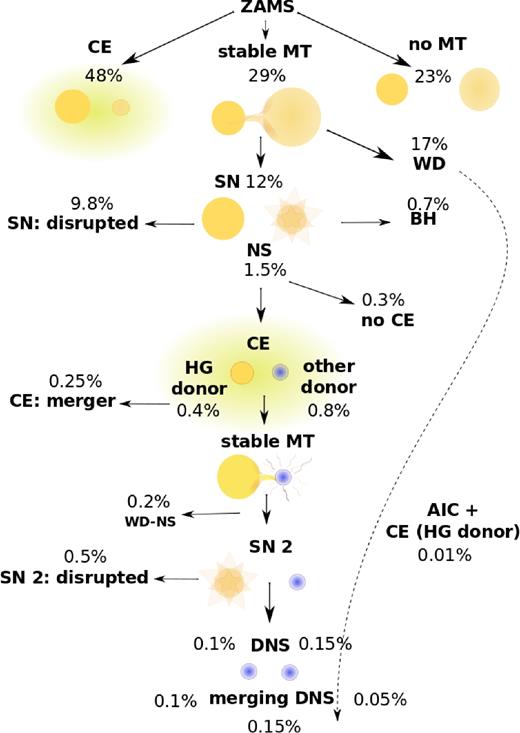 The leading evolutionary channel (in the middle) for the formation of the merging DNS system, shown for the reference model (Section 3.1) and solar metallicity ( Z⊙ = 0.02), simulated with the ZAMS masses from the range 4 M⊙ < Ma < 150 M⊙ and 0.08 M⊙ < Mb < 150 M⊙. The other channels (with the CE or no MT at all before the first SN) produce at most an order of magnitude less merging DNS. We differentiate between the two CE cases: with an HG donor (percentage on the left) and with any other donor (percentage on the right). The latter case constitutes our submodel B, while both contribute to submodel A. All numbers refer to the fraction of the simulated ZAMS binaries. See the text and Appendix C for details.
