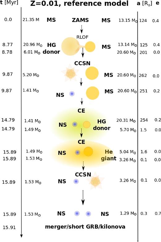 Example evolution of a merging DNS with the remnant masses similar to the masses of GW170817 progenitor stars (see Abbott et al. 2017b), formed in a channel involving two CE episodes and shown for the reference model (see Section 3.1) and metallicity Z = 0.01. Stars pass through a stable RLOF phase before the first core-collapse event. The first star undergoes a CCSN and forms an NS. The binary passes through the CE phase initiated by an HG donor star, shrinking the orbit and leaving behind a helium star, which later on again overfills its Roche lobe and initiates another phase of dynamically unstable mass transfer. The second stars collapses to NS and a DNS system is formed, which then gradually decreases its separation due to emission of gravitational waves until both stars merge, leading to a strong gravitational wave signal, sGRB and kilonova emission. Note that the whole evolution of the binary in this case lasts only ∼16 Myr. This evolutionary channel (involving two CE phases) produces binaries that merge shortly after the formation of the second NS.