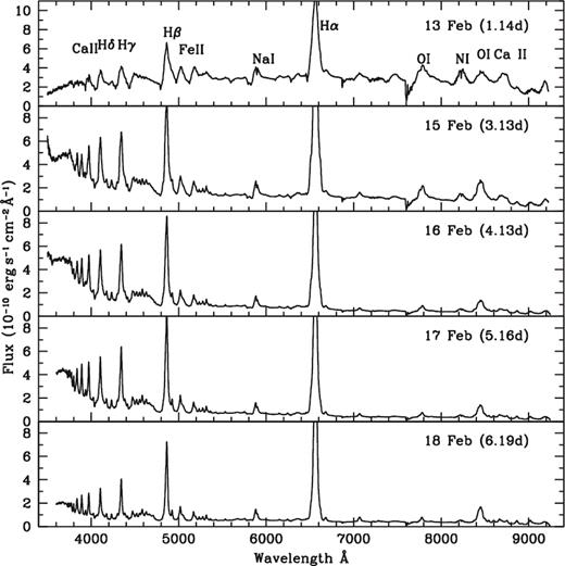 Spectra of RS Oph during 2006 February. The most prominent features are those due to H, Fe ii and Ca ii. The H α line has been truncated so that the weaker lines are seen properly.