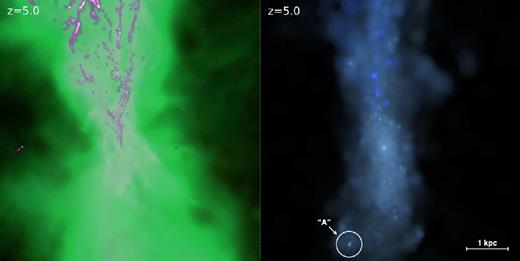 Snapshots of the target galaxy at z = 5, and the star cluster of interest (cluster ‘A’) studied here. Left: gas surface density in a 6 kpc box (proper) centred on the target galaxy, where the brightness indicates projected gas density in a logarithmic scale and the colours encode different temperature ranges (e.g. magenta/white shows T < 103 K cold molecular gas, green 104 < T < 105 K warm ionized gas). Right: mock ugr-composite of stars in the same 6 kpc box. Most stars are distributed in diffuse form, but several dense clusters are visually obvious within the galaxy, including the cluster ‘A’ (white circle).