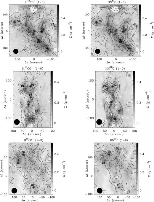 Integrated intensity maps of the H13CO+(1–0) (left) and HN13C(1–0) (right) lines towards clouds C (top panels), F (middle panels), and G (bottom panels). Emission levels (black contours), from 3σ by 3σ, are superimposed on the H2 mass surface density maps (grey-scale) obtained by Kainulainen & Tan (2013). Cloud C: the integration range is 76–83 km s−1 and σ = 0.10 K km s−1 for both molecules. Cloud F: integration range is 51–64 km s−1 for both tracers and σ = 0.11 and 0.15 K km s−1 for H13CO+ and HN13C, respectively. Cloud G: integration range is 39–45 km s−1 and σ = 0.09 and 0.06 K km s−1 for H13CO+ and HN13C, respectively. The core positions (black crosses; Butler & Tan 2009, 2012) and the beam sizes (black circles) are shown in all panels.