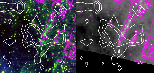 Comparison of the SiO emission (white contours) with emissions at 3.6, 4.5, 8, and 24 μm, towards cloud G as obtained with the Spitzer Space Telescope. Left-hand panel: Spitzer three-colour image with 3.6 μm emission displayed in red, 4.5 μm emission in green, and 24 μm emission in blue. Right-hand panel: 8 μm emission towards cloud G displayed in grey-scale. In both panels the SiO emission levels (white contours) correspond to 3σ, 6σ, and 9σ, with σ = 0.1 K km s−1. The 4.5 μm nebulosity is highlighted by the magenta contour corresponding to the 12σ level at 4.5 μm and 100σ level at 8 μm.