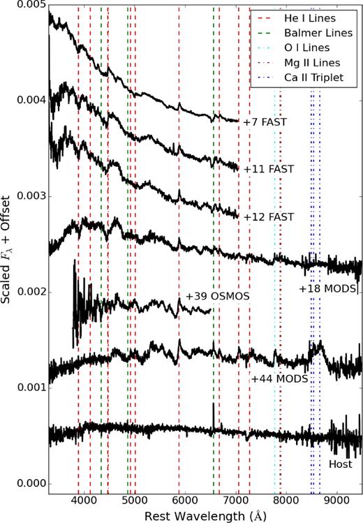 Rest-frame spectra of ASASSN-14ms and the spectrum of SDSS J130408.52+521846.4. No correction is applied for extinction. The locations of various atomic transitions are shown using the vertical dashed lines, and the spectra are labelled according to their phase relative to the V-band peak. The spectra have been modestly smoothed. Note the consistent presence of He i emission features throughout the spectra.