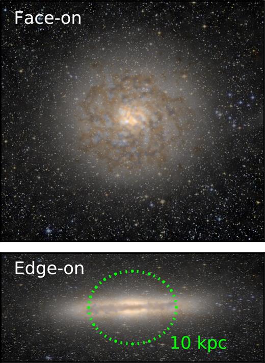 Mock image of the simulated galaxy at t = 0 seen face-on and edge-on. False colours use g, r, i broad bandpasses, as well as a simple prescription for dust absorption based on gas density and metallicity. The image is superposed on a artificial stellar field that mimics an image from the Hubble Space Telescope.