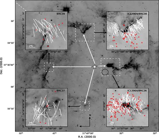 Polarization vectors (after subtracting the foreground polarization) overlaid on WISE 12-$\mu$m images of IC 1396A, BRC 37, BRC 38 and BRC 39. Line segments with 2$\,\,\rm{per\,\,cent}$ polarization are shown to scale the value of P. The dashed line shows the position angle of the Galactic plane at the latitude of the cloud. The positions of young stellar objects ($\rm H_{\alpha }$ emission stars) distributed towards bright-rimmed clouds are shown using red open circles. Position angles are measured from north increasing eastwards (directions shown in the figure).