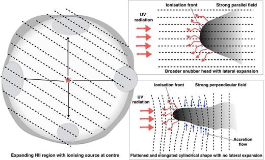 Schematic diagram showing the formation and expansion of an H ii region resulting from UV radiation from a central ionizing source. The formation of bright-rimmed clouds is understood by assuming pre-existing clumps/clouds on the periphery of the Str$\rm \ddot{o}$mgren sphere. The fates of molecular clouds in the presence of parallel and perpendicular B-fields are also shown in the right column.