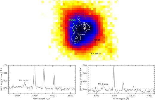 Top panel: Nebular He ii λ4686 map centered on the massive young SSCs whose positions are represented by the white countours. The crosses indicate the location of the WR knots detected in this work. Bottom row: spectra showing the WR bumps. Bottom left-hand panel: spectrum of the spaxel nearby SSC#3, indicated by the green cross in the top panel; Bottom righthand panel: spectrum obtained by adding the emission from the 3 spaxels marked with black crosses in the top panel.