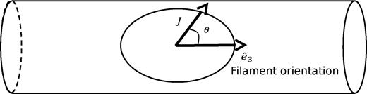 晕的角动量$\mathbf{\boldsymbol{J}}$和灯丝方向$\mathbf{\boldsymbol{e}}_3$之间的对准角θ的示意图。圆柱体表示灯丝，椭圆表示灯丝中的光环。cosθ～1的值对应于光环自旋方向与灯丝平行，而cosσ～0对应于垂直配置。