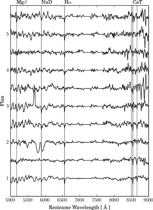 A sample of GC spectra suitably normalized. Shown are continuum-normalized redshift-corrected spectra for GCs with increasing S/N per resolution element (from top to the bottom). The spectrum at the top has S/N = 15, the one at the bottom S/N = 50. The main atomic lines are labelled on the top. Features such as the strong absorption in the spectrum at Flux = 2 and the emission in the spectrum at Flux = 3 are instrumental artefacts and not physical features of the GC. The flat horizontal lines between 7000 and 8000 Å mark regions with masked skylines (see the text).