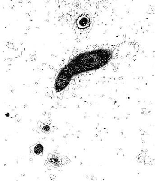 Con tours of the UV emission from the GALEX view of HCG 98, obtained by adding the FUV to the NUV frames, plotted over the r-band image of HCG 98. Note that neither the tail nor the extended halo are visible in the UV.