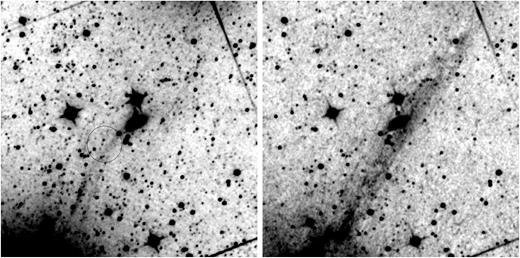 WISE near-infrared images of the HCG98 region; left panel W1 band (3.4 μm), right panel W2 band (4.6 μm). The images show the slightly curved tail in the left panel within the traced circle; the tail is not visible in the right panel.