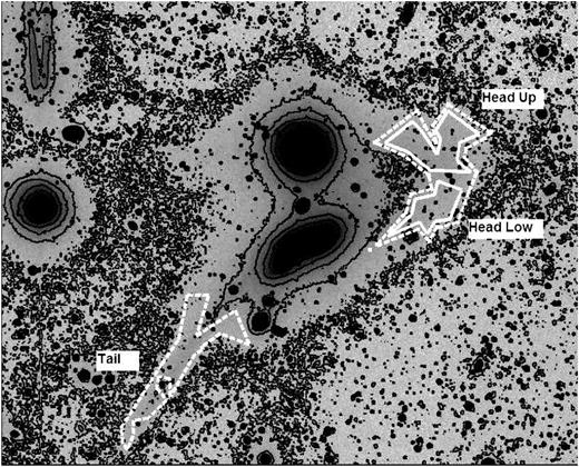 Plot of the deep luminance image with tracings of the regions mentioned in the paper (dashed con tour = the entire head area) where the median surface brightness was measured; in the W1 band only the entire head was measured.
