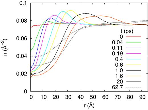 Lateral compression wave initiated by the track of a 20 MeV ion: time evolution of the radial density profile.