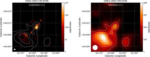 Left: the image of known HC H ii W49A G (CORNISH counterpart: G43.1665 + 00.0106) at 5 GHz CORNISH. Right: the image of known HC H ii G43.1665 + 00.0106 at 1.4 GHz MAGPIS. The beams of CORNISH (1.5″) and MAGPIS (6″) are white circles presented in the lower left corner of each image. Overlaid lime and white contours on each image show 5 GHz emission from CORNISH and 1.4 GHz emission from MAGPIS, respectively. This is an example of an HC H ii region showing extended 1.4 GHz emission ($S_{\rm int} /S_{\rm peak}=1.5$) in our sample and we regard its spectral index as a lower limit (αmin).