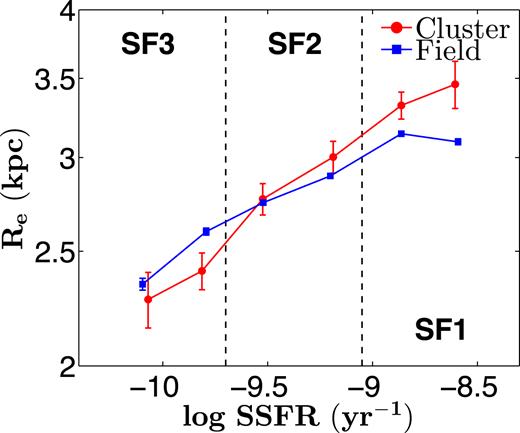 Median effective radius of SF galaxies as a function of SSFR at 0.5 < $z$ < 1.0. The red and blue lines correspond to cluster and field environments, respectively. The data points are centred on the median SSFR in each bin and the 1σ confidence error bars are estimated using bootstrapping. The vertical dashed lines delimit the regions typically occupied by the different star forming populations: SF1, SF2, and SF3, in order of decreasing mean SSFR. The SF1 galaxies (with the highest SSFR) are found to be, on average, larger in the cluster environment than in the field.