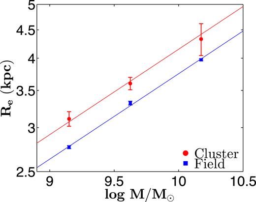 Stellar-mass–size relations of cluster (red) and field (blue) high-SSFR galaxies (SF1 galaxies) at 0.5 < $z$ < 1.0. The errorbars correspond to the 1σ confidence intervals estimated using bootstrapping. We fit a linear model to each mass–size relation (solid lines) in order to compare them. We find that cluster SF1 galaxies are systematically 9 per cent larger than their field counterparts at all masses.