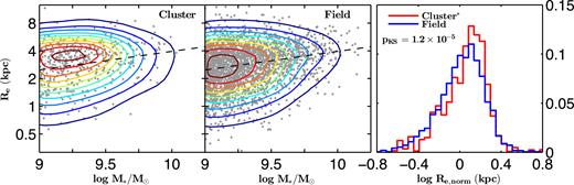 The stellar-mass–size relation for SF1 galaxies in the UDS at 0.5 < $z$ < 1.0. The grey dots represent the position of individual galaxies across the mass–size plane. The con tours show the number of galaxies per unit area on the diagram and normalized by the comoving volume of the field. The left-hand and central panels correspond to cluster and field galaxies, respectively. The black dashed line in the first two panels corresponds to the best-fitting linear model to the field population. The right-hand panel represents the distribution of the variable Re,norm or the ratio between the effective radius of a galaxy and the value predicted by the best-fitting model to the field data. The red line corresponds to the cluster and the blue to the field populations (note the asterisk next to the cluster label indicating it is the background-subtracted cluster sample). The field and cluster distributions are significantly different, according to a KS test (pKS is quoted on the top left corner), with the cluster SF1 galaxies being, on average, larger than in the field.