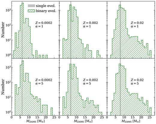 Green hatched histograms: distribution of the ZAMS mass (MZAMS) of binary stars undergoing an ECSN. From left to right: Z = 0.0002, 0.002, and 0.02, respectively. For each metallicity, we consider 105 binary systems randomly selected from runs EC15α1 (top) and EC15α5 (bottom). Grey shadowed regions (with arbitrary normalization): mass range of single stars undergoing an ECSN.