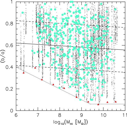 Dependence of projected H i axis ratio on H i mass. For NIHAO simulations each galaxy has 100 projections shown (black points). The red triangles show the minimum axis ratio in bins of mass showing a deficit of small axis ratios in low-mass galaxies. This is consistent with observations (cyan circles) from Wang et al. (2016).