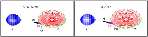 Plot showing a schematic representation of the A0620−00 system at an orbital phase of 0.75, as it appears in the model with an HL having the parameters from Table 3, being in the passive (left; the C band) and active (right; the K band) state. Different symbols depict the optical star (s), the internal (paraboloidal) part of the disc (d), the edge of the disc (e), the hotspot (hs), and the heated (hl), and cool (cl) parts of the HL.