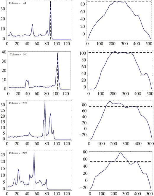 Profiles corresponding to the four vertical stripes shown in Fig. 17, each of them labelled by the corresponding column in the map. The left-side column shows the intensity profiles, under the assumption of a constant face-on surface brightness on the emitting sheet (the upwards direction in the map is now rightwards). The right-side column shows, instead, the profiles of the distorted limb, sectioned at the respective columns (the scales of the x and y coordinates are different, in order to enhance the effects of the ripples). The dashed lines refer to the position of the brightest peak in each cut.