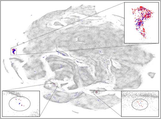 t-SNE projection of 588 681 observed spectra ranging between 4720 and 4890 Å. Red dots (756 spectra) mark a clump in the projection that was manually selected to contain CH spectra. Superimposed blue dots represent CH spectra determined by the supervised algorithm. Outside the t-SNE selected clump, we have 224 spectra that were determined to be carbon enhanced only by the supervised method. All other analysed spectra are shown in grey shades, depending on their density in the 2D projection. Two ellipses indicate regions where the majority of CEMP candidates are located in the projection.