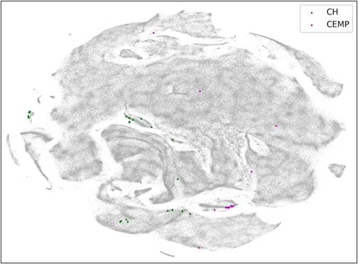 t-SNE projection with marked known CH and CEMP objects from multiple different catalogues found in the literature that are also part of our analysed set of spectra.