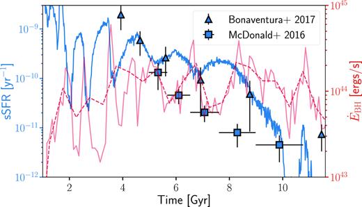 Star formation and smbh feedback history. The specific star formation rate (blue, averaged over 10 Myr bins) and feedback rate of the central SMBH (red, averaged over 100 and 500 Myr bins for solid and dashed lines, respectively) for the BCG in romulusc. The SMBH feedback traces both accretion and feedback energy imparted by the SMBH on to nearby gas. Dips in the sSFR are often associated with peaks of SMBH activity. The peak of activity beginning around 8 Gyr and persisting through 10 Gyr is associated with the final quenching of the BCG. The sSFR history of the romulusc BCG is remarkably close to the average evolution observed in clusters from Bonaventura et al. (2017), but slightly high compared to results from McDonald et al. (2016). The range in time shown is cut off just prior to the infall of the group seen in Fig. 7. The merger destroys the cool core, a topic to be explored in future work.