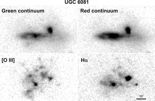 The SAI 2.5m tunable-filter data for UGC 6081. Continuum images are offset by 50 Å from the redshifted line wavelengths, and bottom images show net line emission after continuum subtraction. North is at the top and east to the left; each panel spans 50 × 82 arcsec. The nucleus of the southeastern disc is bright in all these bands and gives a convenient reference point for comparison. Emission regions appear projected as far as 25 arcsec from each nucleus, so that even if the nearer one is solely responsible for the photoionization at these locations, the radial extent from the ionizing source is at least 18 kpc. The intensity scales are similar to Sloan image products, changing gradually from linear at low intensities to logarithmic at bright levels.