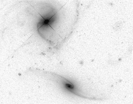 Archival HST image of PG 0844+349 and companion galaxy to its south (from program HST-GO-9763, PI Barth). This is part of an ACS WFC image in the F625W filter, smoothed with a 3-pixel median for cosmetic reasons. The redshifts are a close match, with the companion at $z$ = 0.0652 compared to the luminous AGN at $z$ = 0.0643 for a projected velocity difference near 270 km s−1. As expected for trailing spiral arms and the visible dust on the north side, the NE side of the disc is approaching. The area shown spans 38 × 49 arcsec with north at the top.