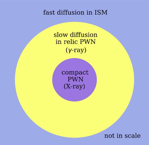 A schematic figure of particle transport in the Geminga PWN. The inner part of the PWN corresponds to the small bow shock nebula detected in X-ray and is unimportant in our model. The outer part of the PWN corresponds to the large nebula detected in γ-ray. Beyond the nebula, particles diffuse isotropically in the ISM where the diffusion coefficient is larger.
